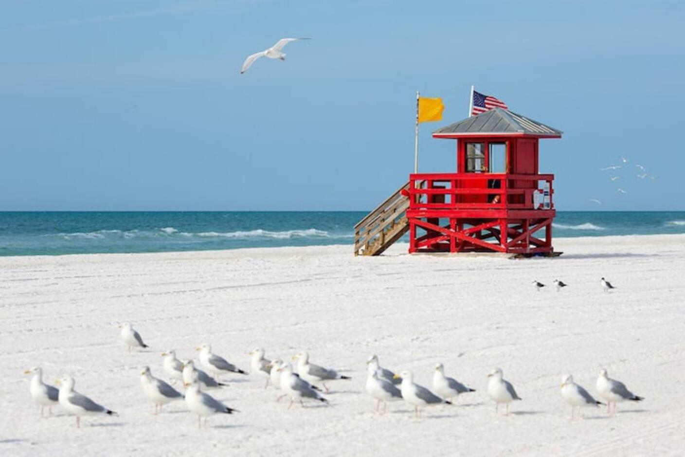 Apartamento Luxury Zen Den With Heated Pool Just Off Siesta Key Sarasota Exterior foto